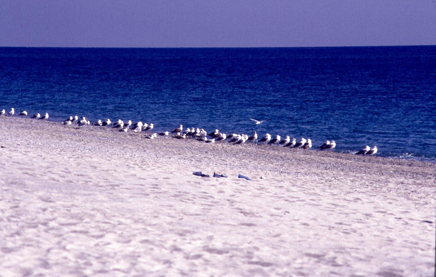 Praialinda Badolato Marina Luaran gambar